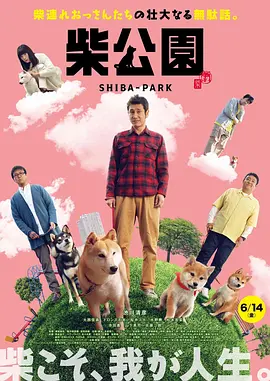 99在线观看视频免费精品9