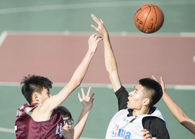 a在线免费观看