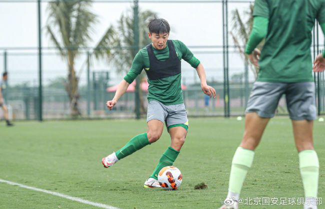 激情性插