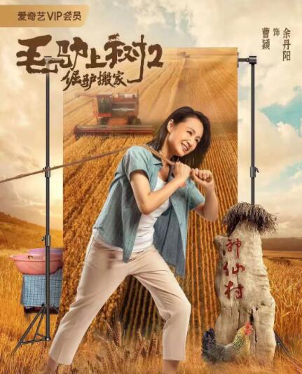 热血青年的心