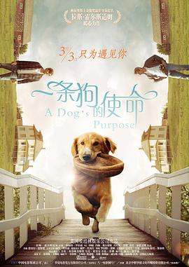 中国bbw50成熟