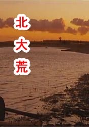 欧美精选在线观看