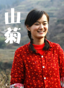 新新影院理论片在线