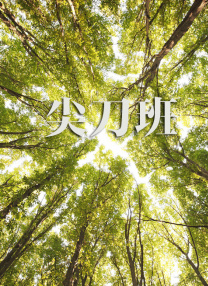 校园角色