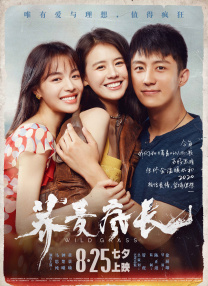 秋霞午夜久久