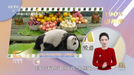 外遇的味道
